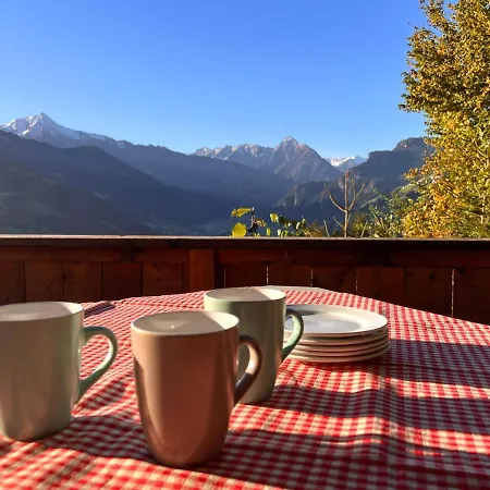 아파트 Haus Barbara 젤암질러